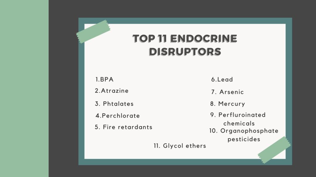 A list of the top 11 endocrine disruptors