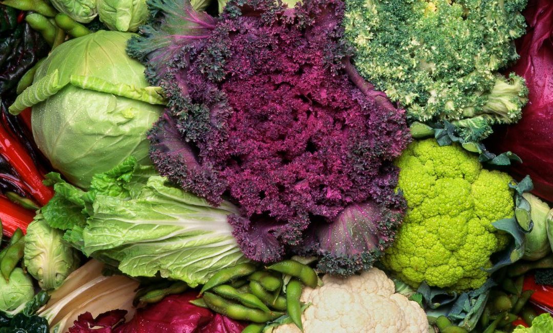 Different kinds of cruciferous vegetables: cabbage, lettuce, brussel sprouts...
