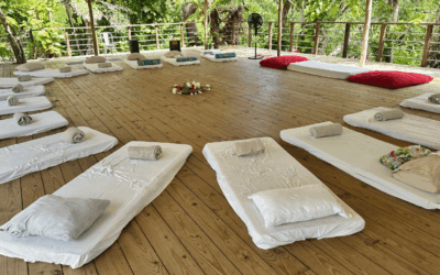 My Psilocybin Retreat Experience: Transformation and Self-Discovery with Mushrooms