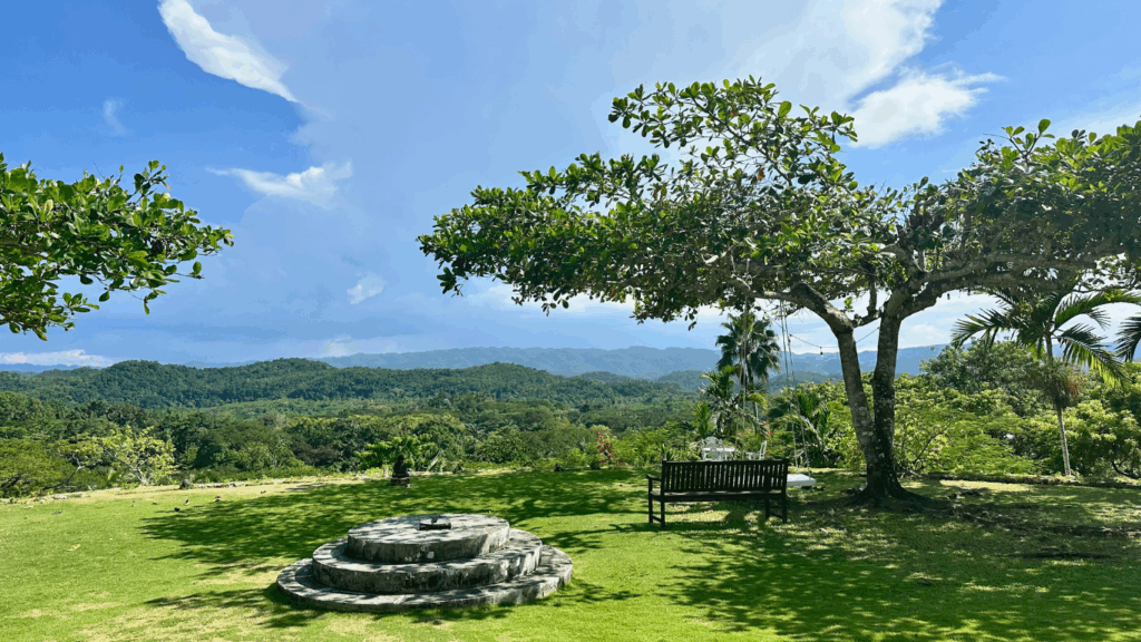 Group meditation at a psilocybin retreat supporting neuroplasticity and inner healing.